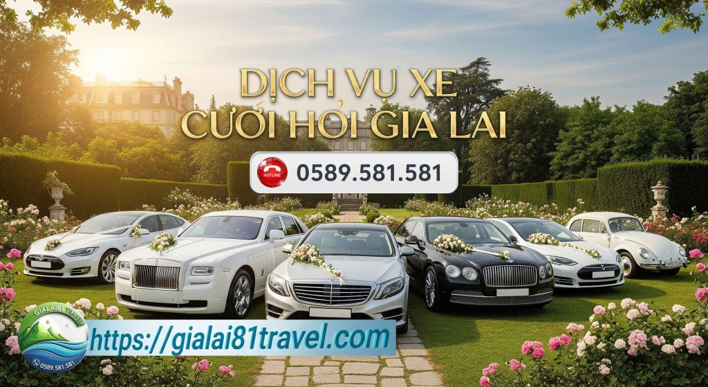 dịch vụ xe cưới hỏi gia lai