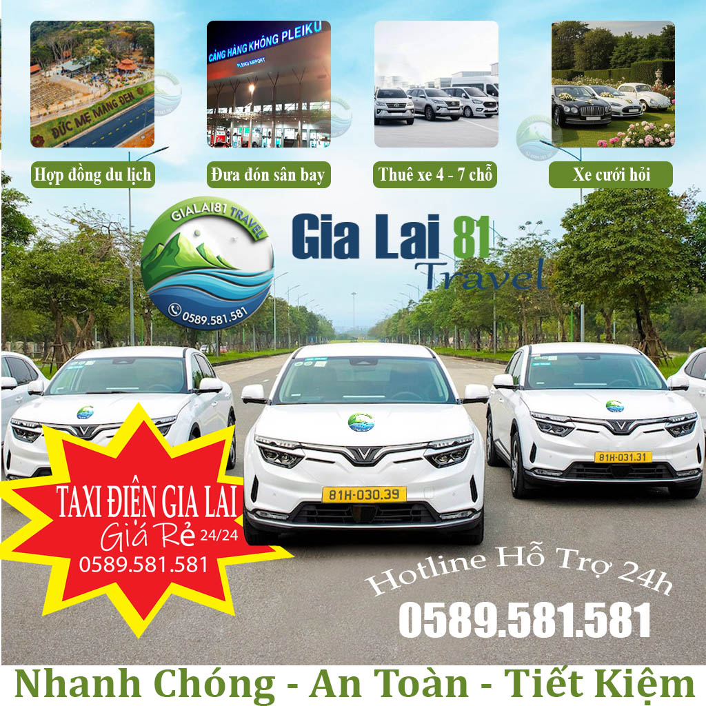 Taxi điện gia lai