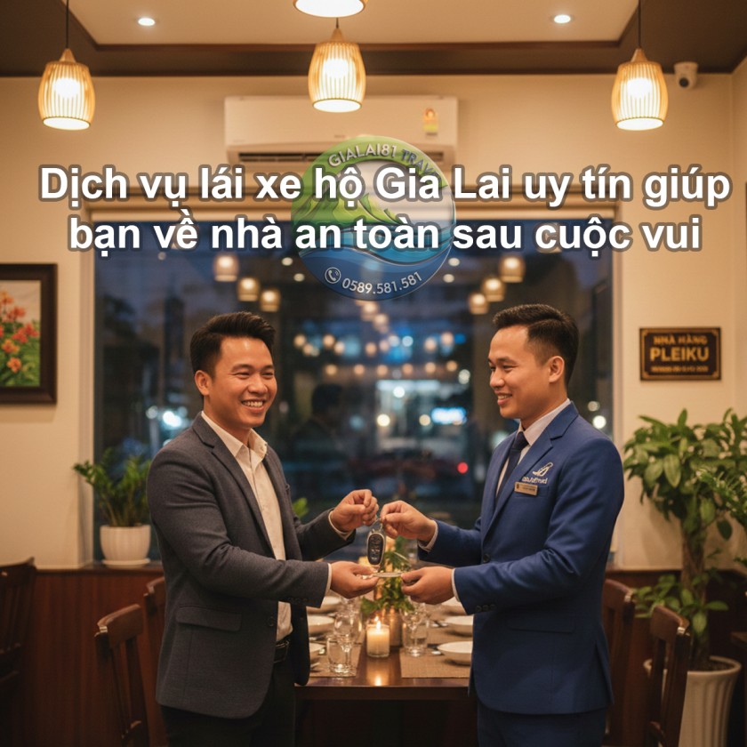 Dịch vụ lái xe hộ Gia Lai uy tín giúp bạn về nhà an toàn sau cuộc vui