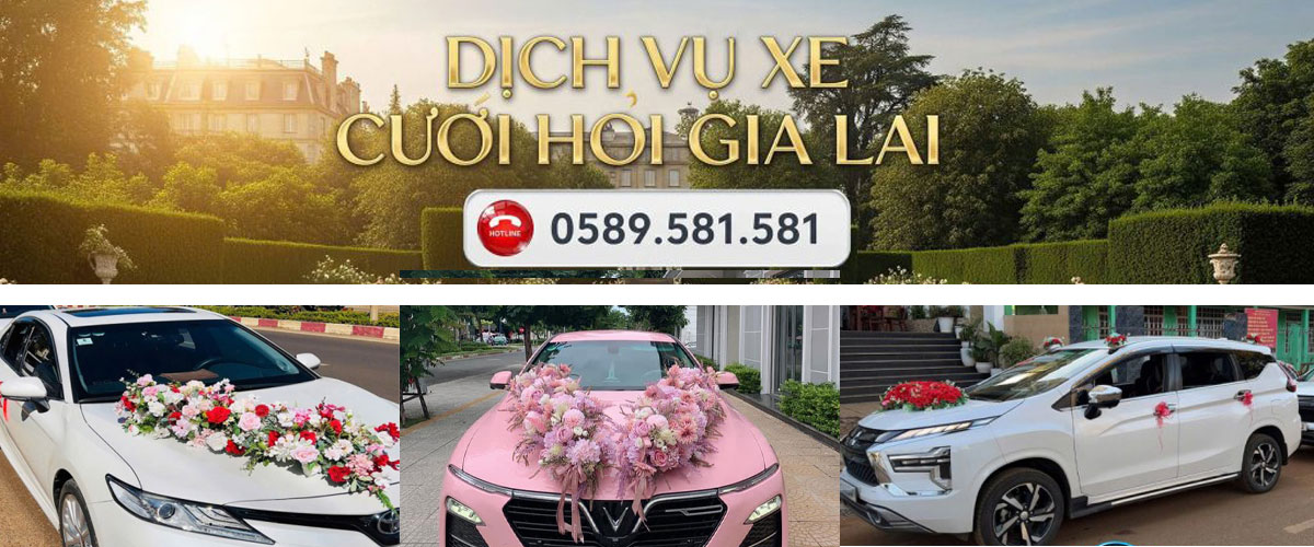 xe cưới hỏi gia lai - GiaLai81Travel