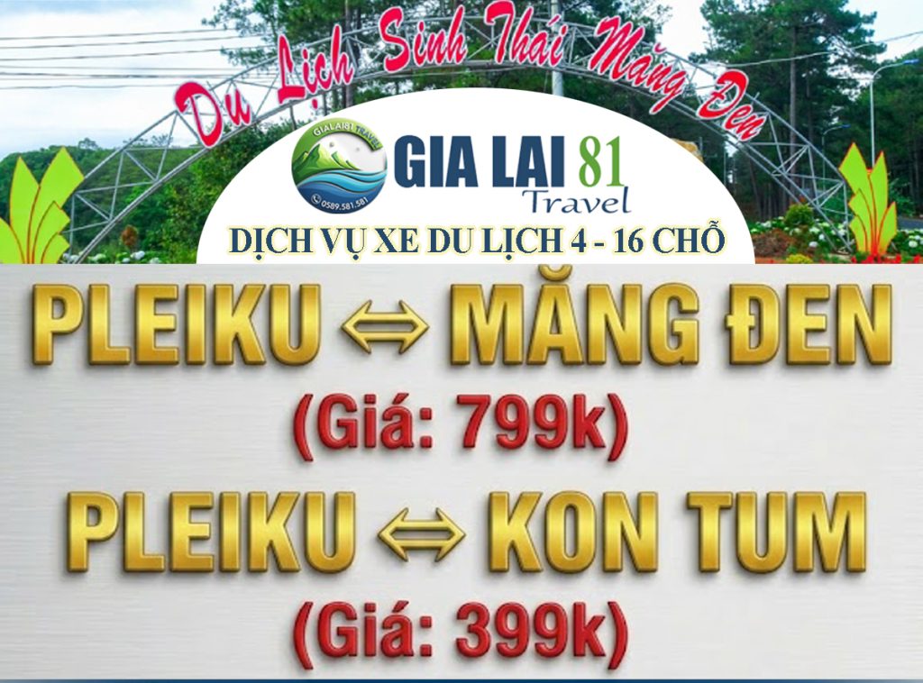 xe dịch vụ gia lai - gialai81travel